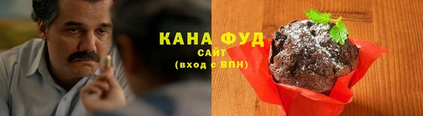 стаф Козельск