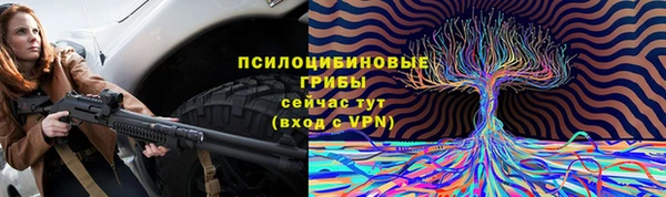 дживик Кодинск