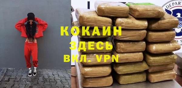 сатива Кинешма