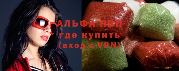 стаф Козельск
