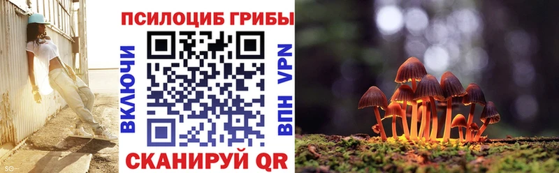 Псилоцибиновые грибы Psilocybine cubensis  Зарайск 